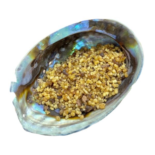 Palo Santo